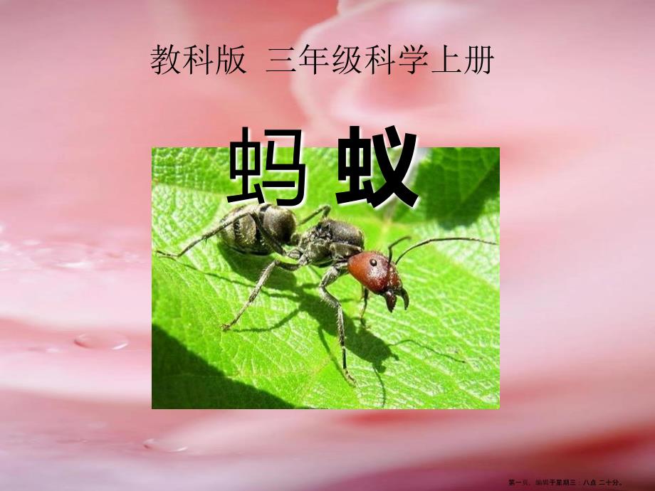 第1頁