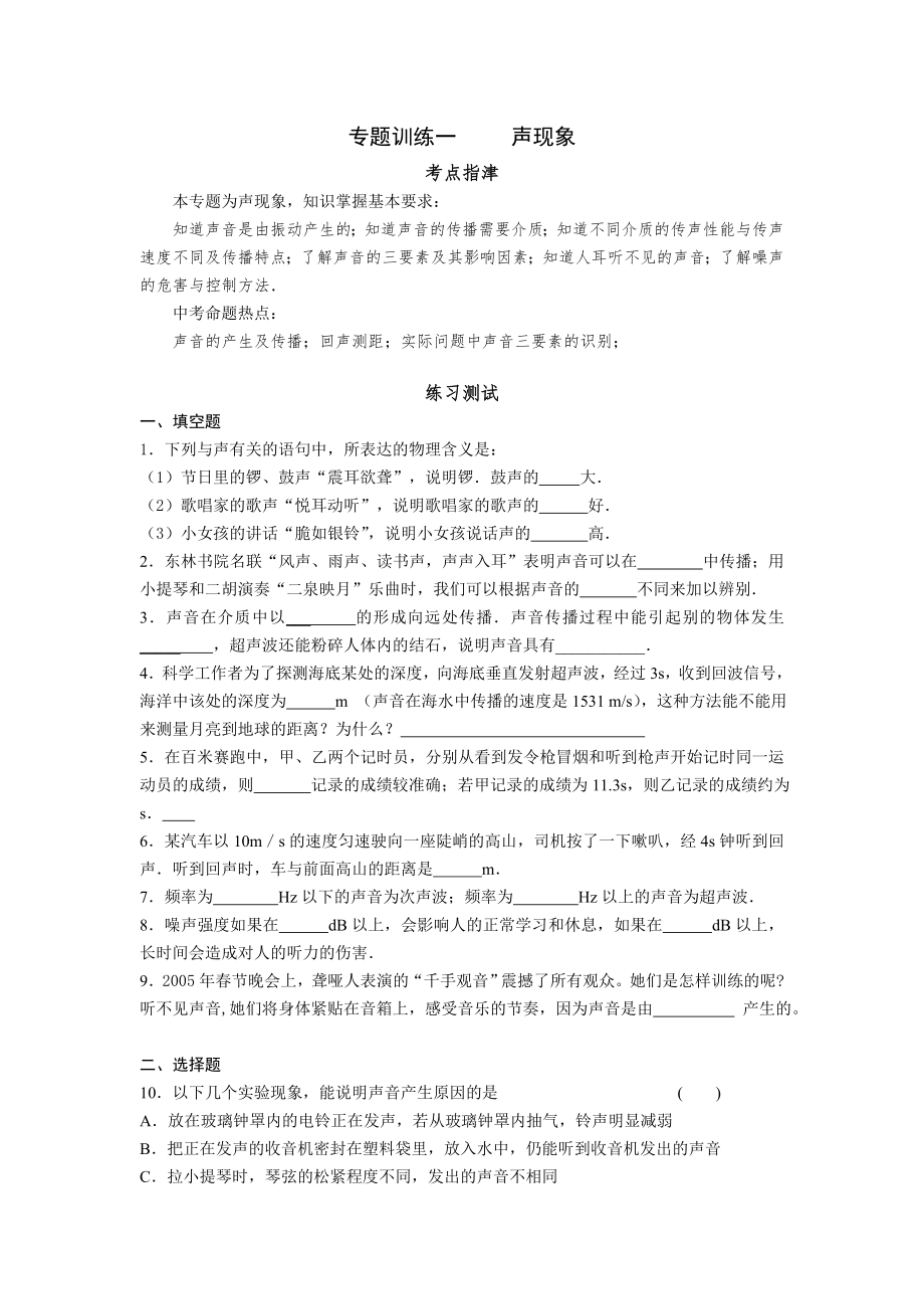 中考专项声现象_第1页