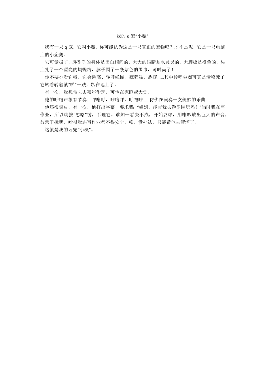 我的q宠“小薇”_第1页