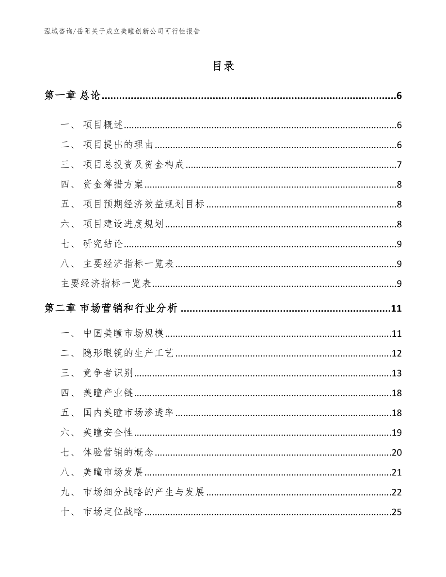 岳阳关于成立美瞳创新公司可行性报告_模板_第1页