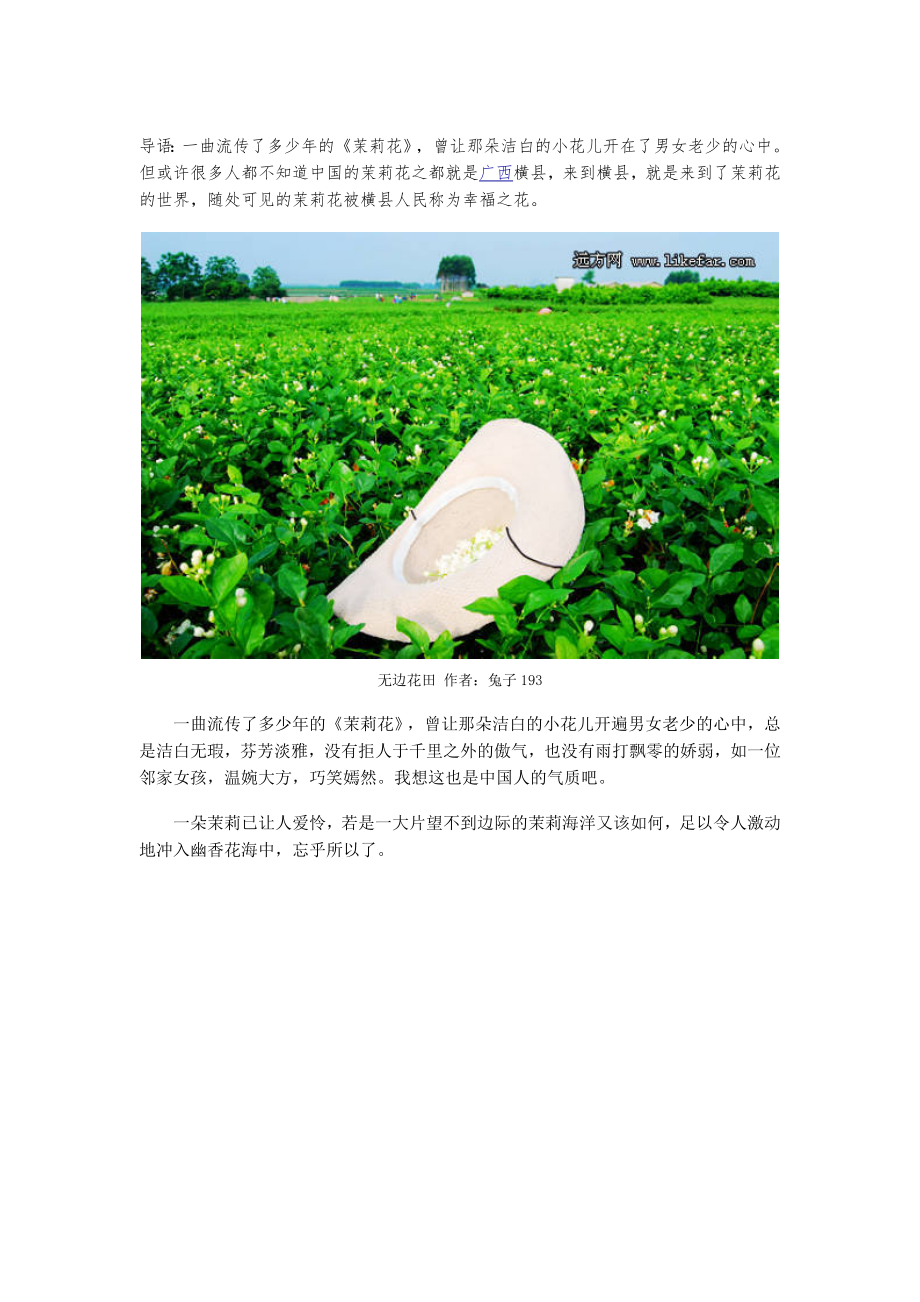 广西横县茉莉花海自助游攻略_第1页