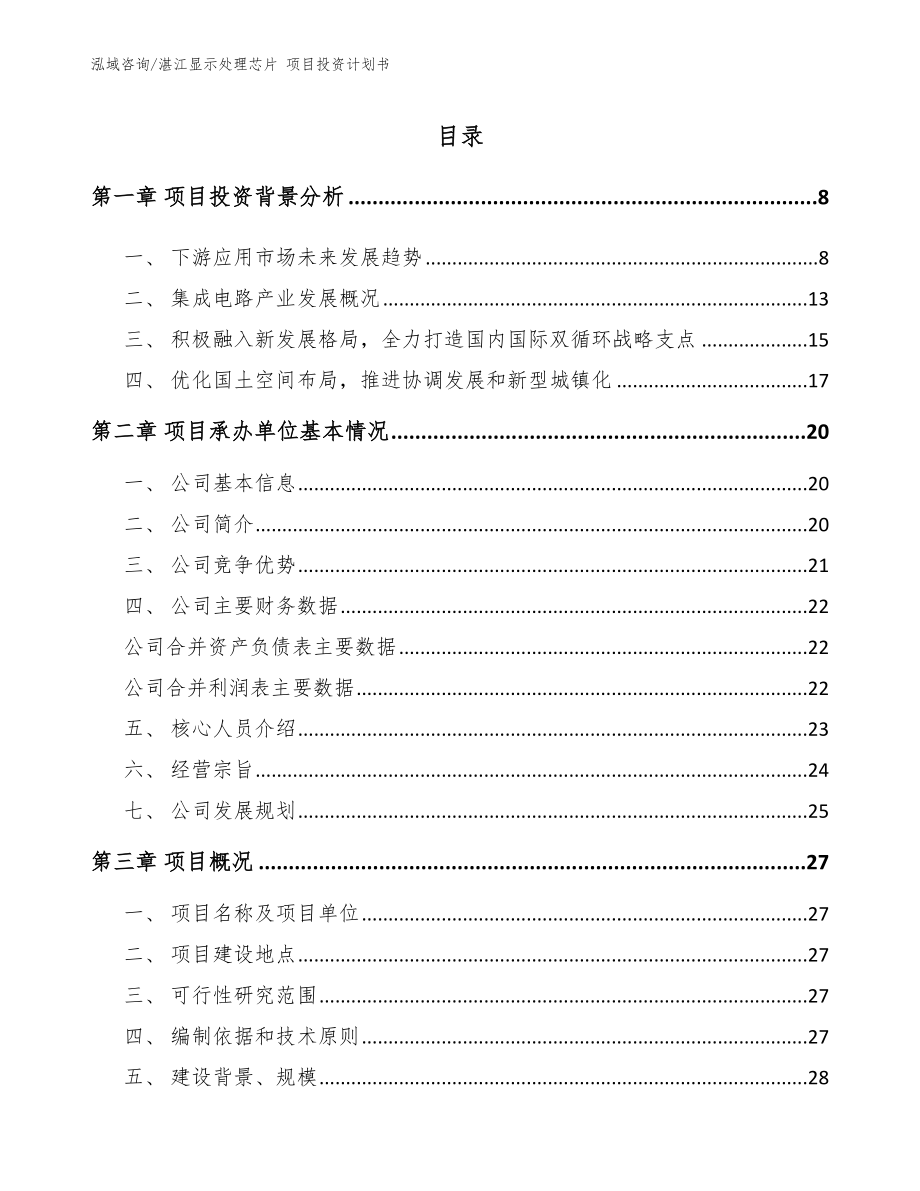湛江显示处理芯片 项目投资计划书（范文模板）_第1页