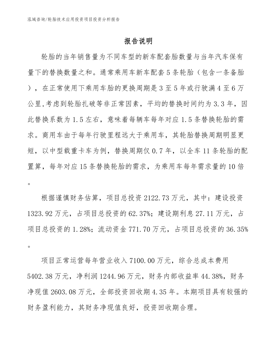 轮胎技术应用投资项目投资分析报告_第1页
