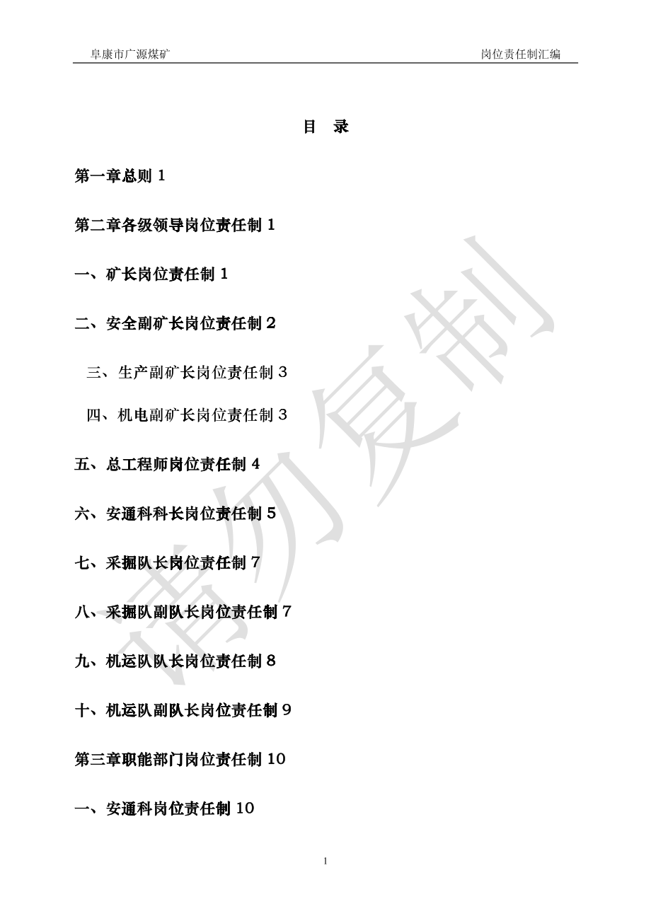 广源煤矿岗位责任制cvgi_第1页
