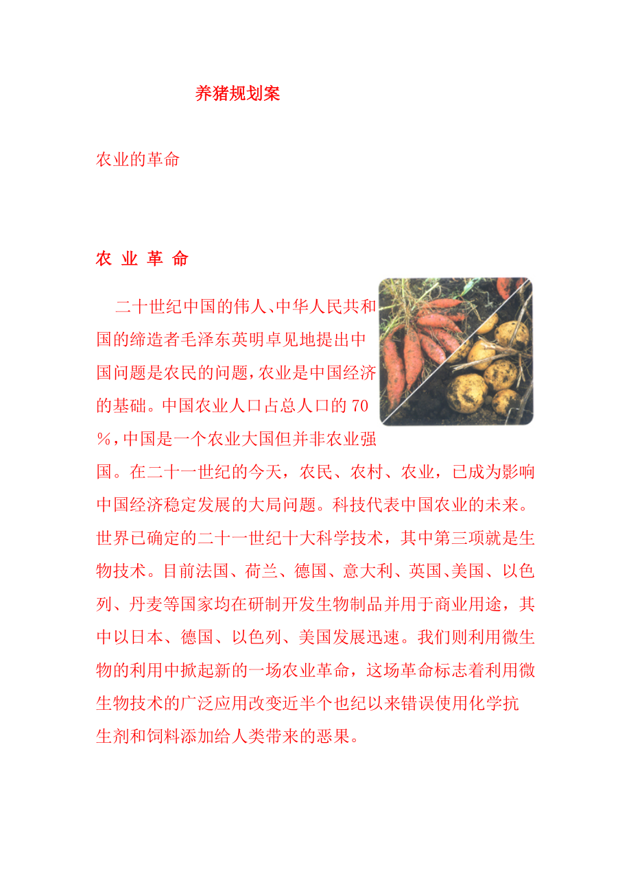 养猪规划方案 (2)_第1页