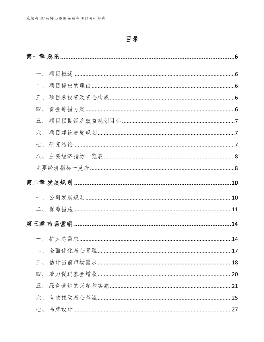 马鞍山市医保服务项目可研报告_第1页