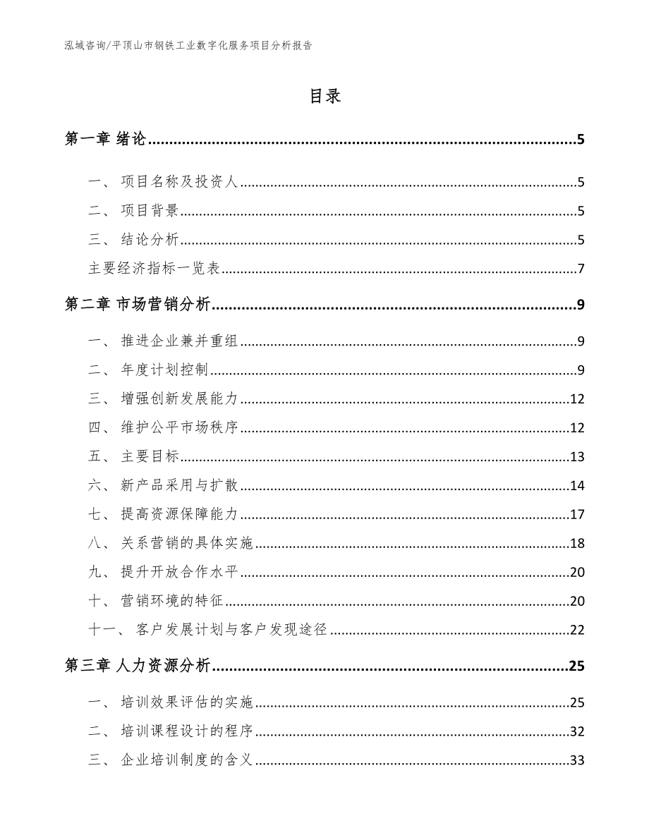 平顶山市钢铁工业数字化服务项目分析报告_第1页