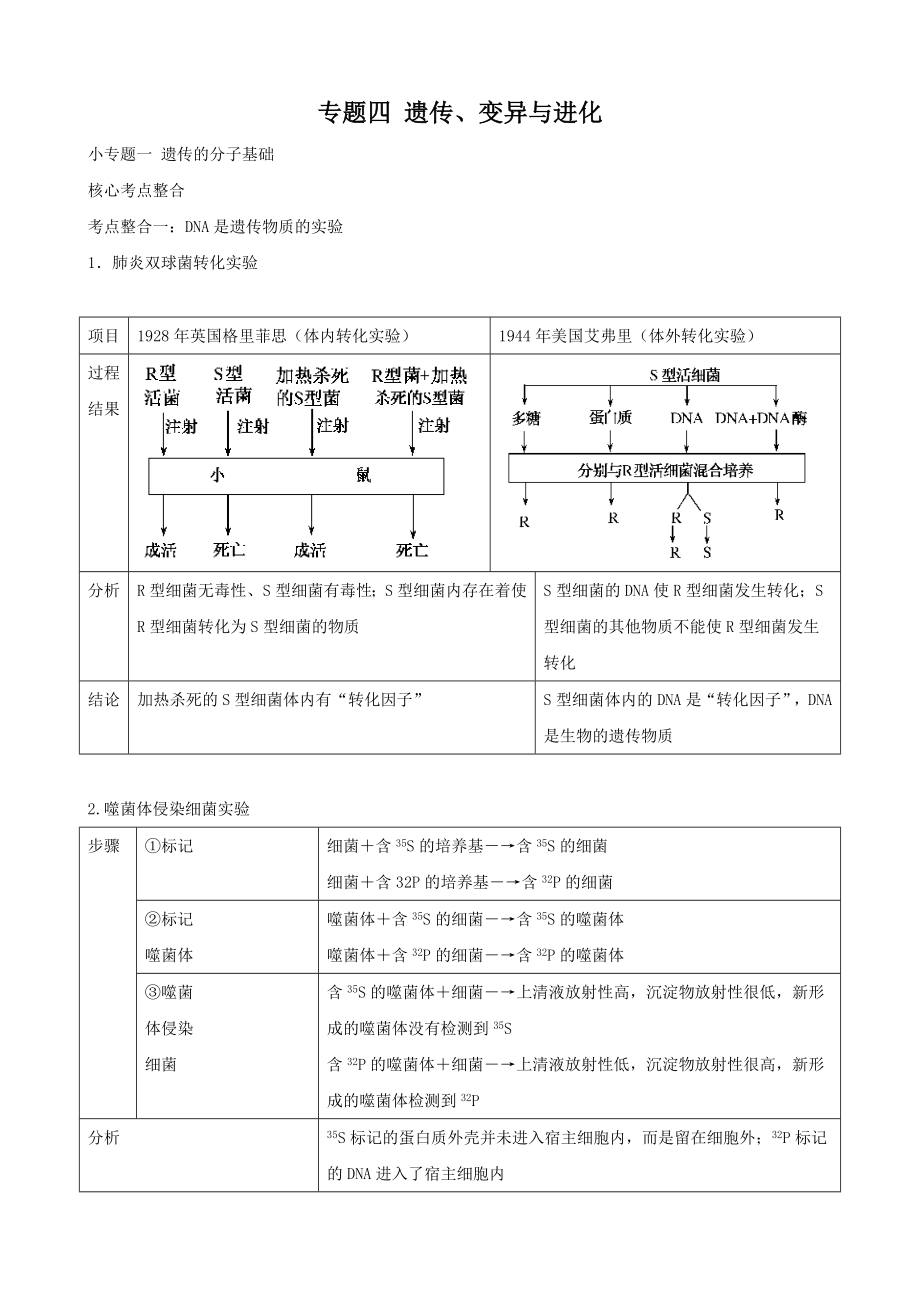 高三生物复习学案：专题4 遗传、变异与进化1 遗传的分子基础_第1页