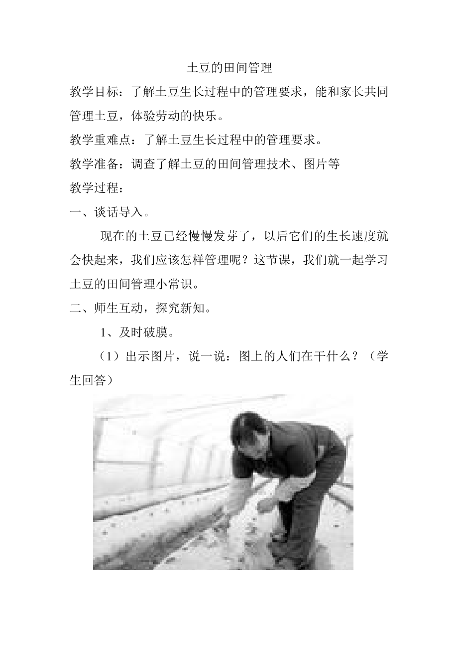 土豆的田间管理_第1页