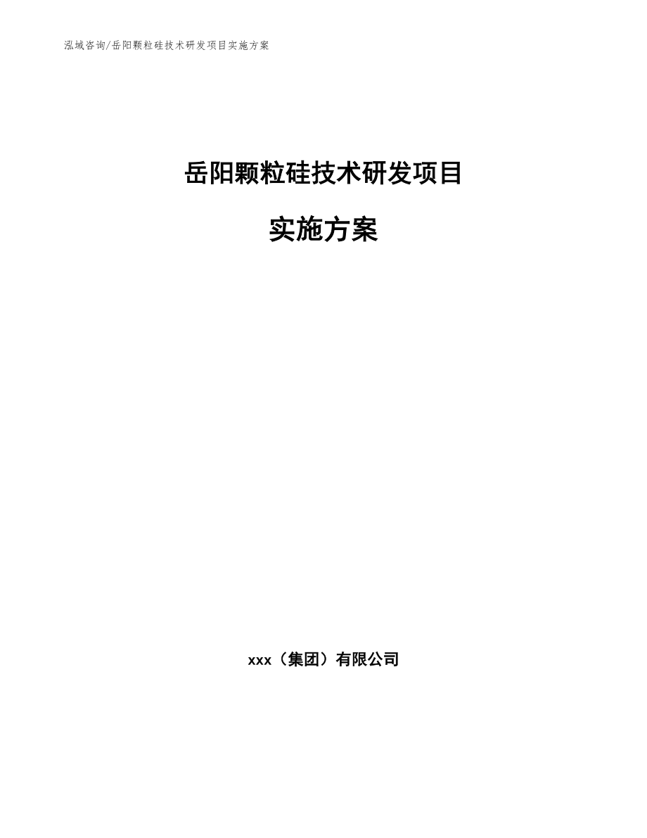 岳阳颗粒硅技术研发项目实施方案【模板范文】_第1页