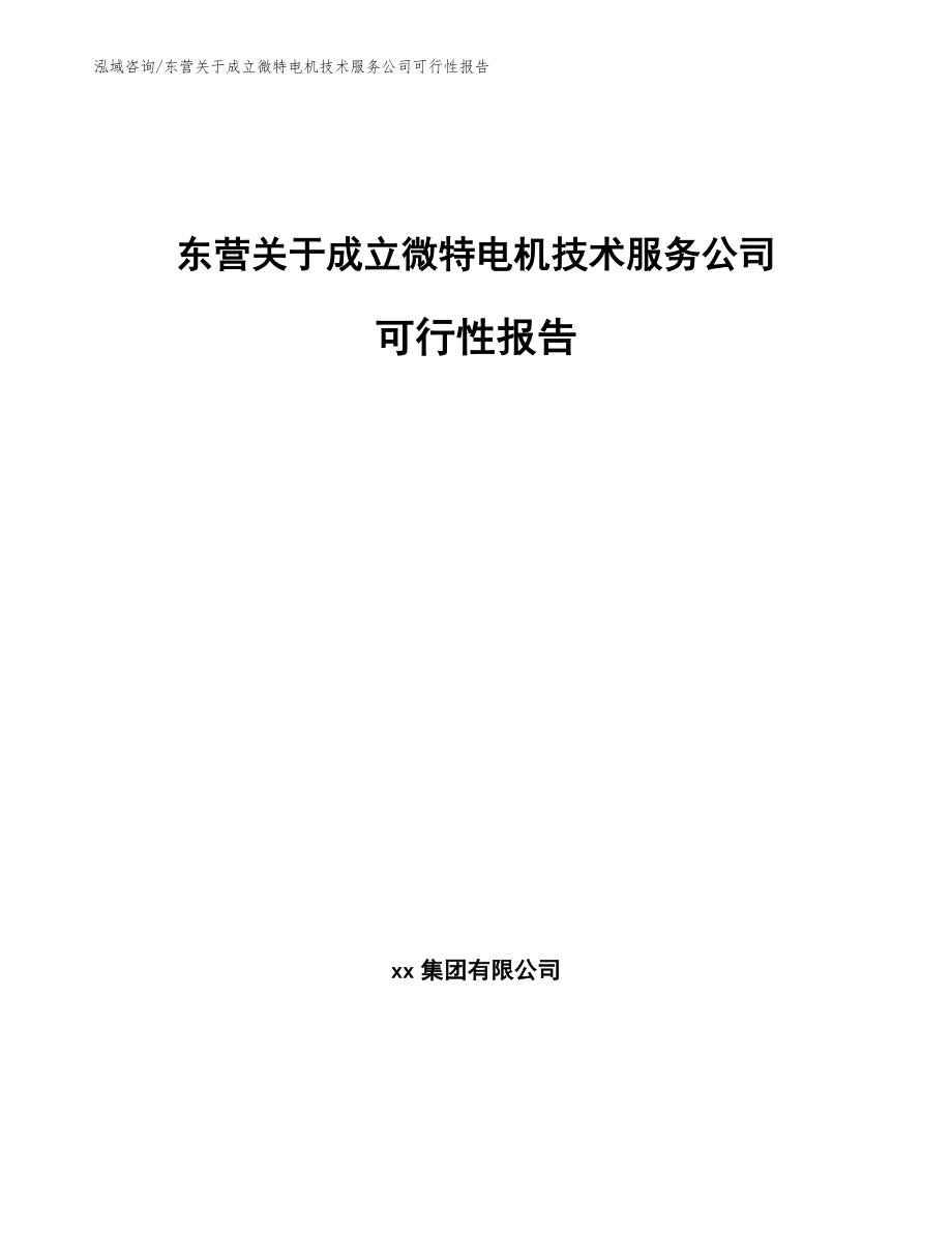 东营关于成立微特电机技术服务公司可行性报告_模板范文_第1页