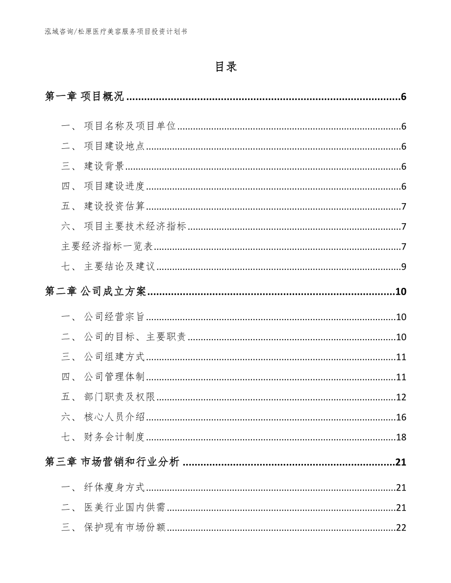 松原医疗美容服务项目投资计划书_范文_第1页