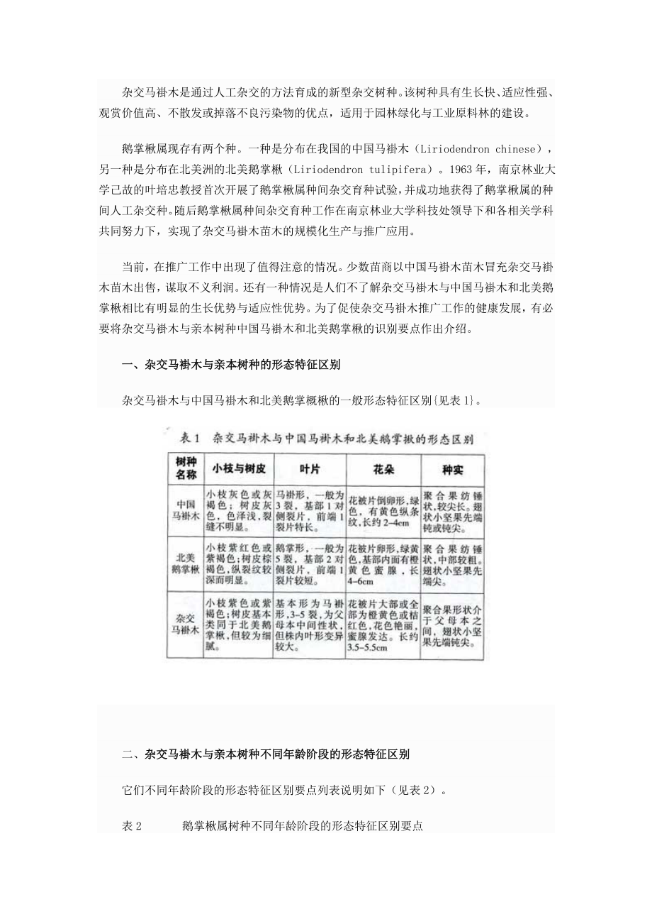 杂交马褂木与中国马褂木和北美鹅掌楸的识别_第1页