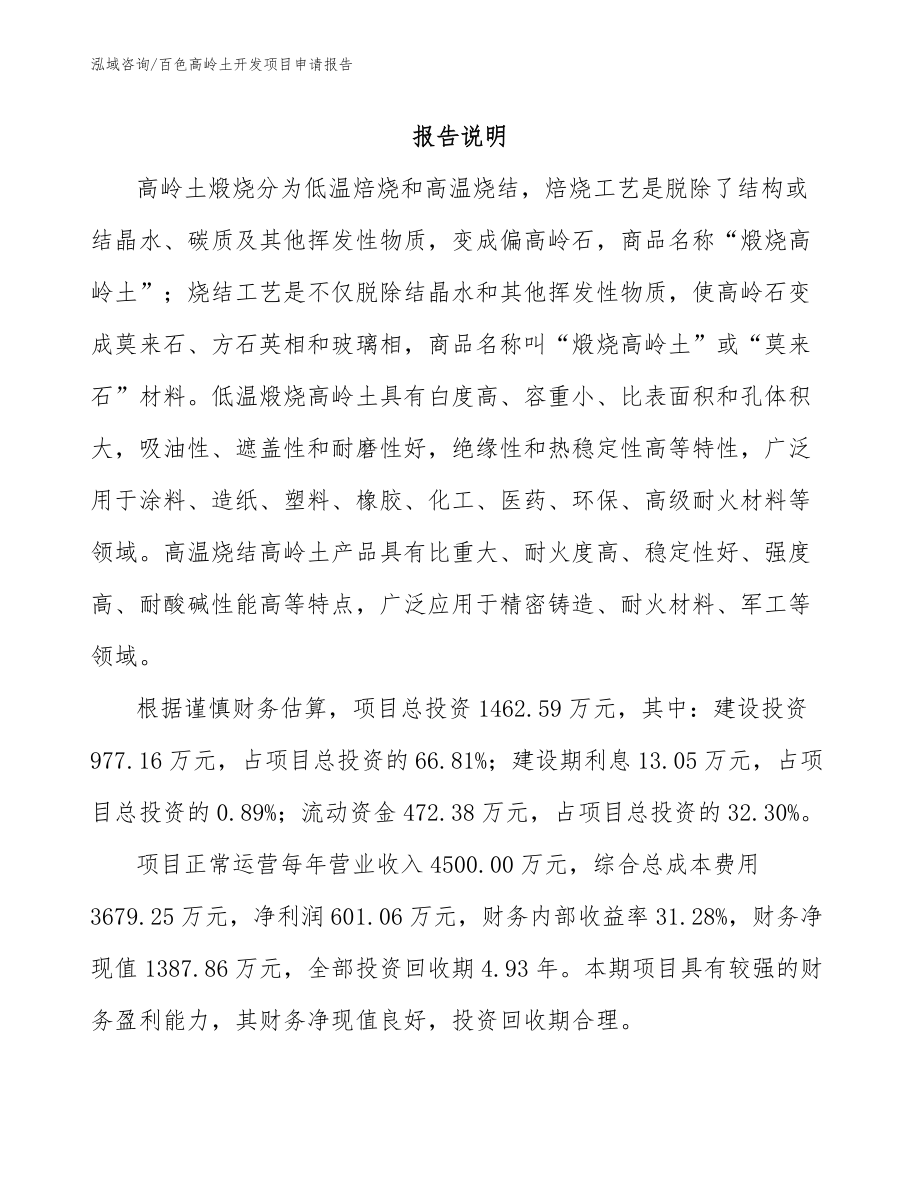 百色高岭土开发项目申请报告_第1页