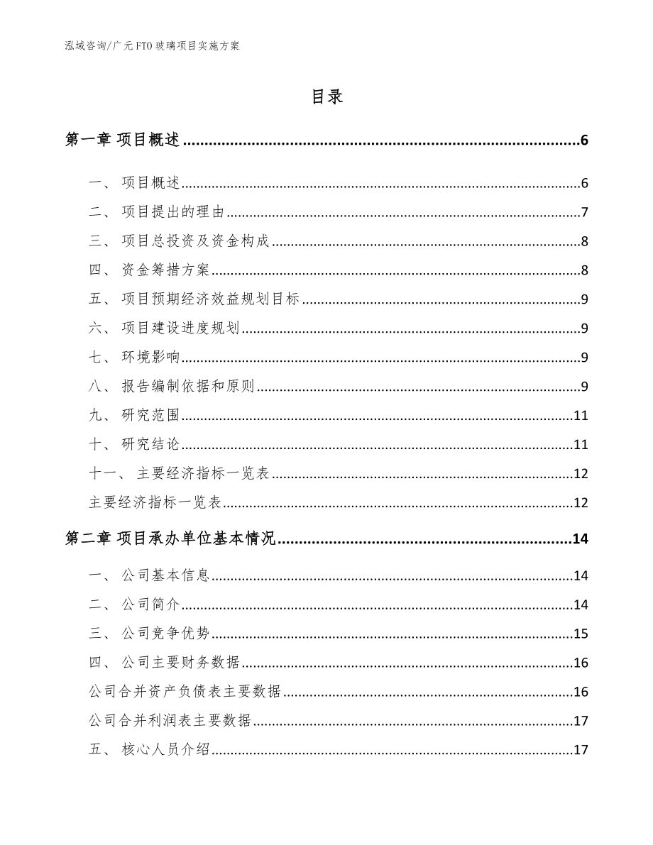 广元FTO玻璃项目实施方案模板_第1页