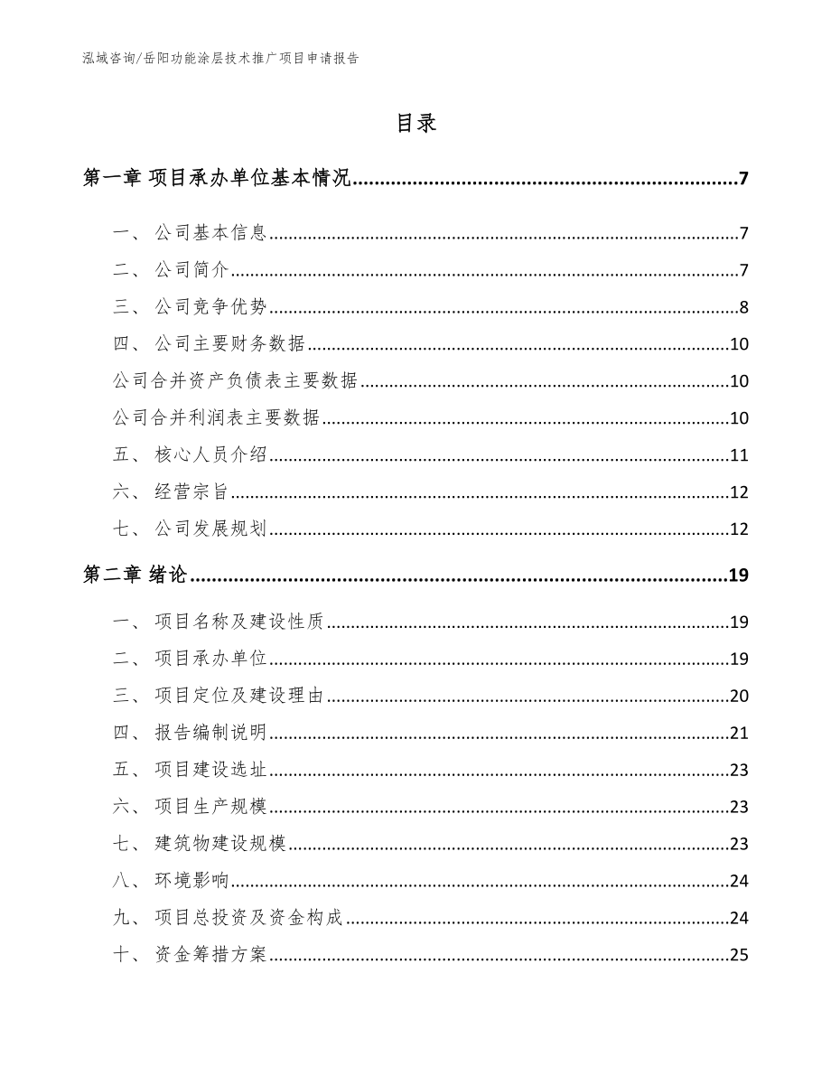 岳阳功能涂层技术推广项目申请报告_第1页