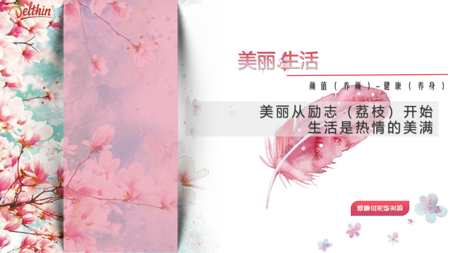 全荔以赴创造莓好生活-荔枝草莓春夏方案（全）_第1页
