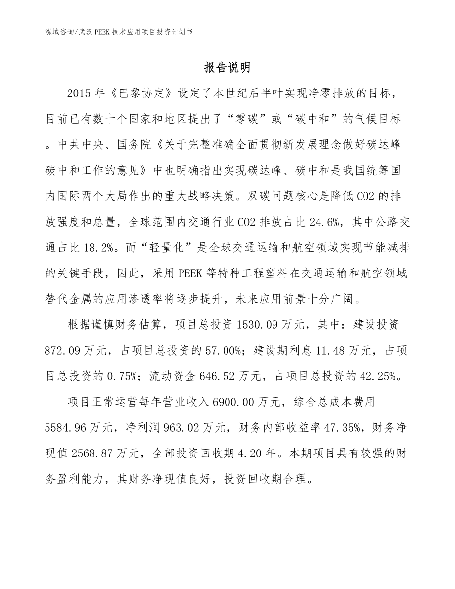 武汉PEEK技术应用项目投资计划书_范文_第1页