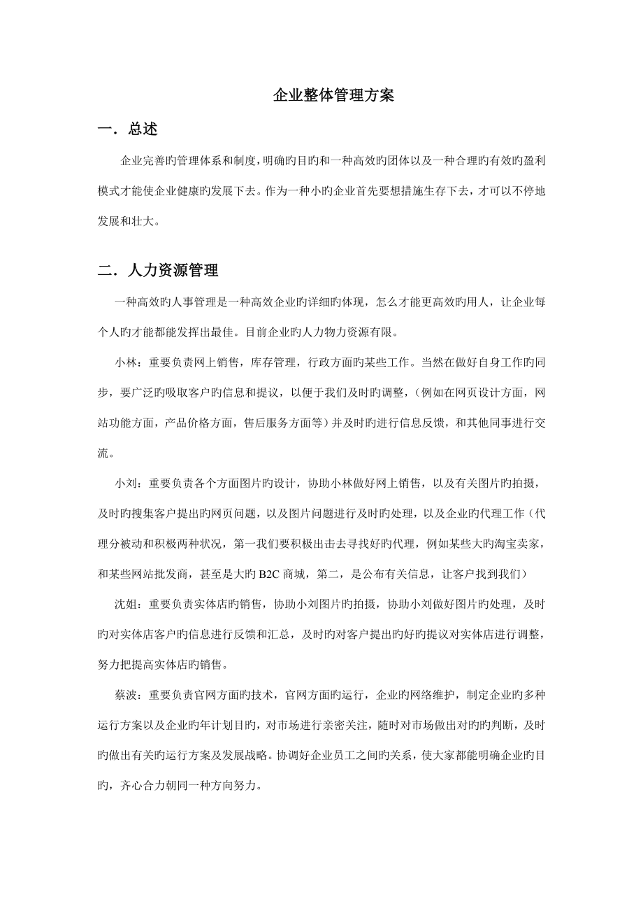 电子商务公司整体管理方案人员管理运营管理_第1页