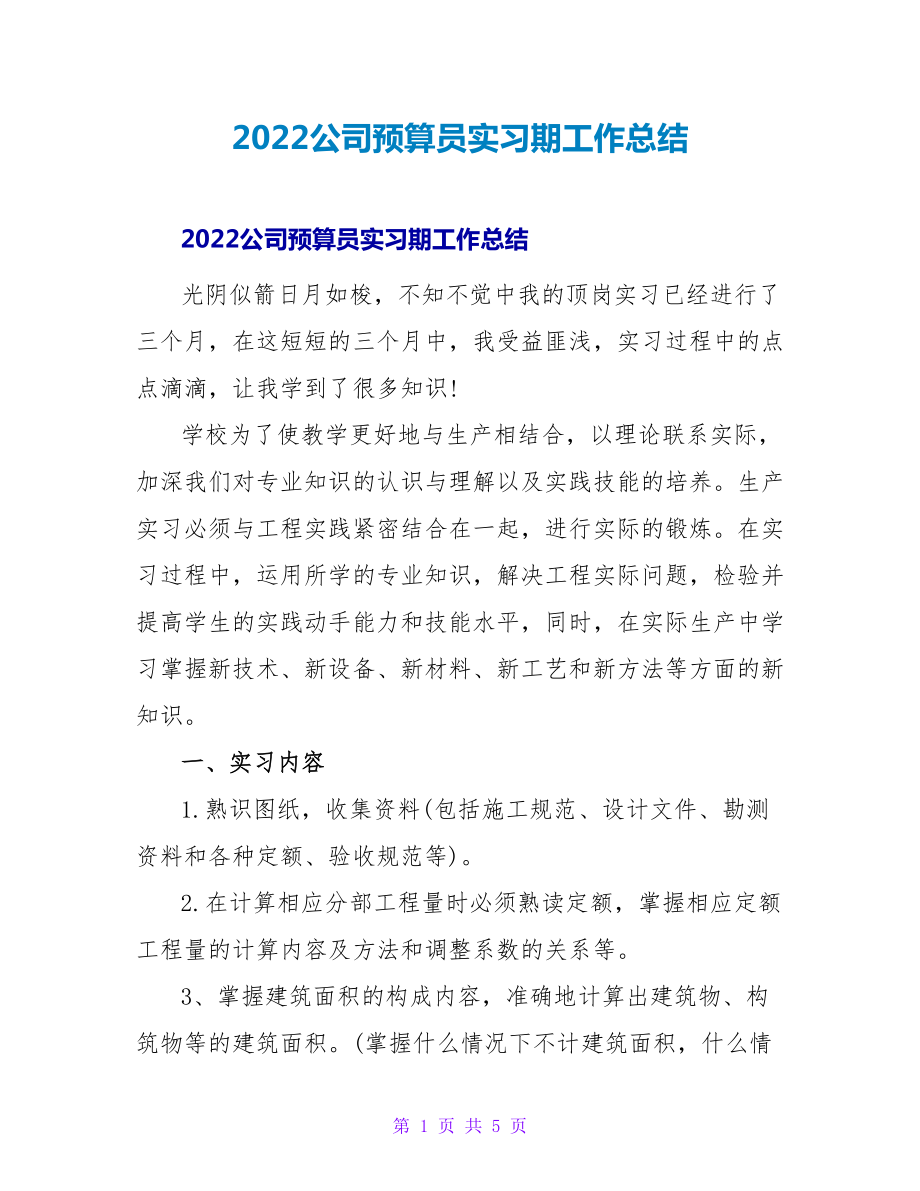 2022公司预算员实习期工作总结_第1页