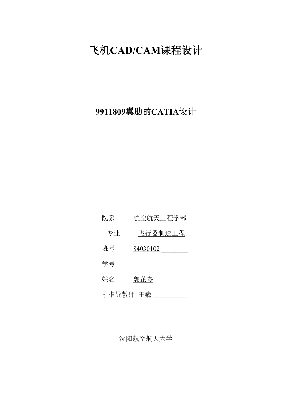 9911809翼肋的CATIA设计_第1页