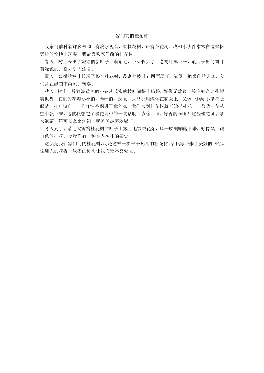 家门前的桂花树_第1页