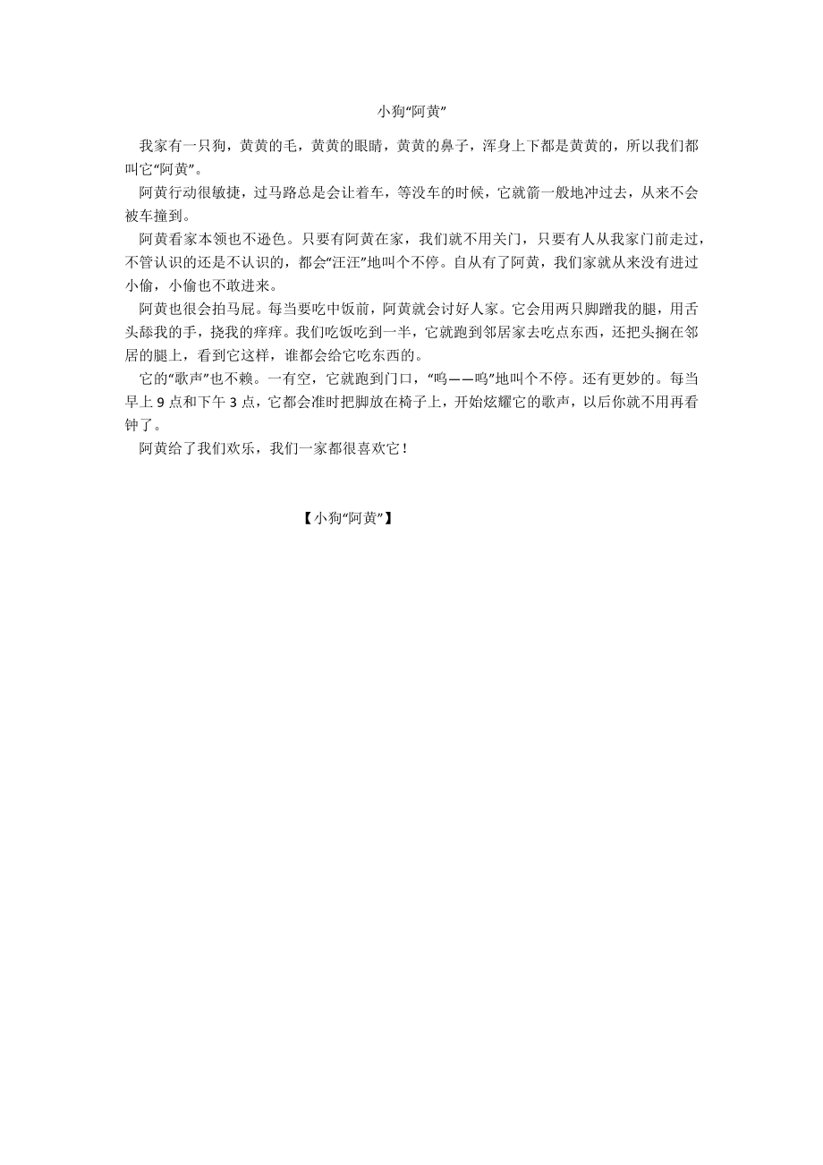 小狗“阿黄”_第1页