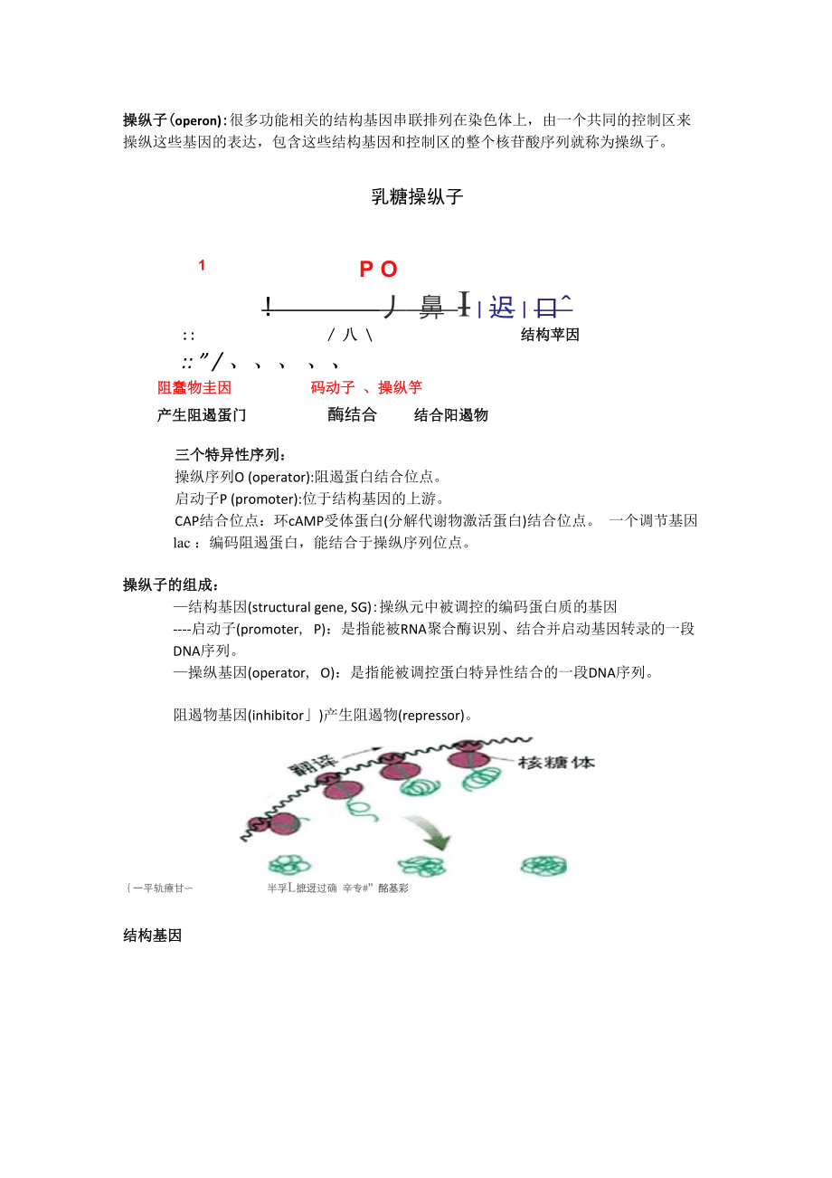 乳糖操纵子简介_第1页