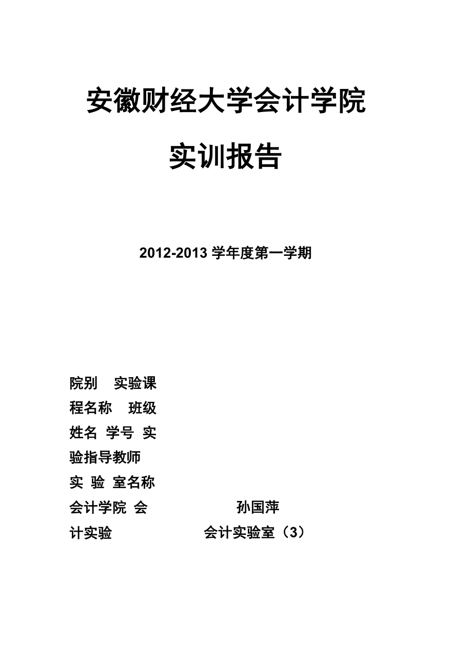 会计实验报告_第1页