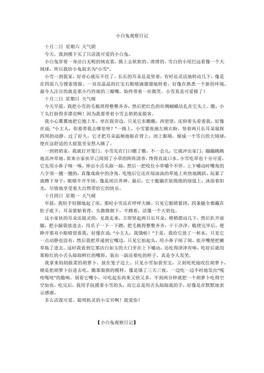 小白兔观察日记_第1页