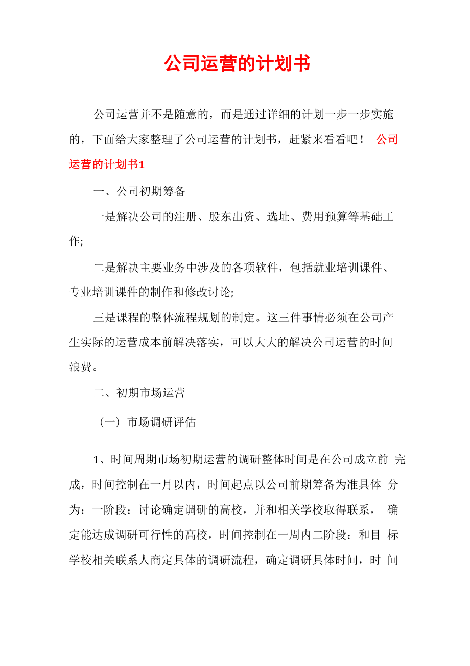 公司运营的计划书_第1页