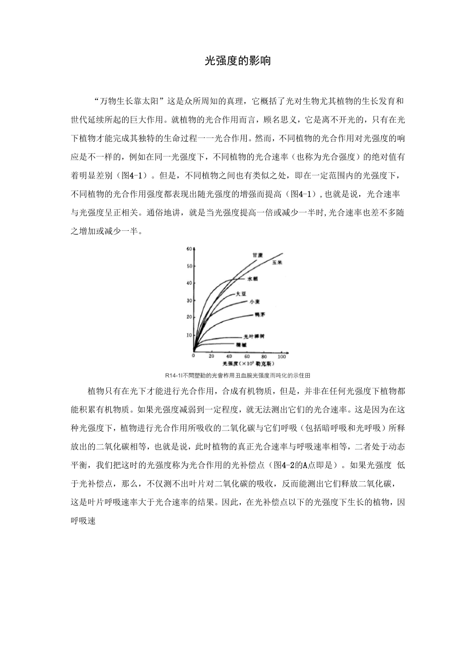 光强度的影响_第1页