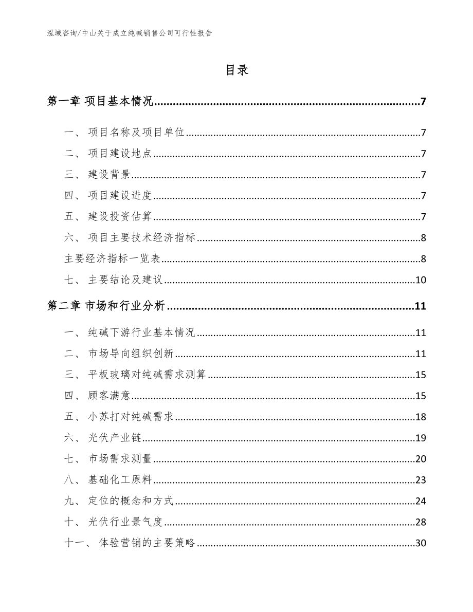 中山关于成立纯碱销售公司可行性报告_模板_第1页