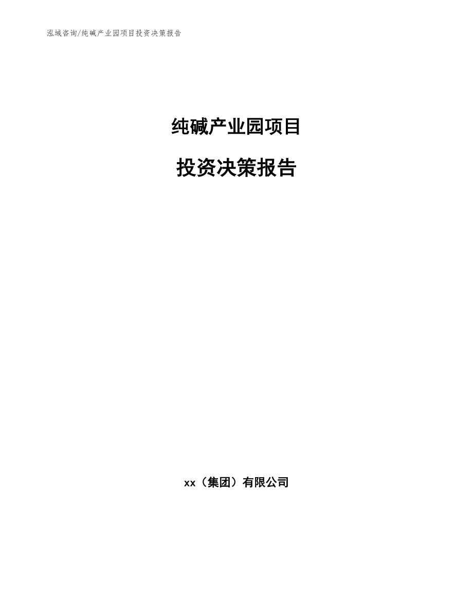 纯碱产业园项目投资决策报告参考模板_第1页