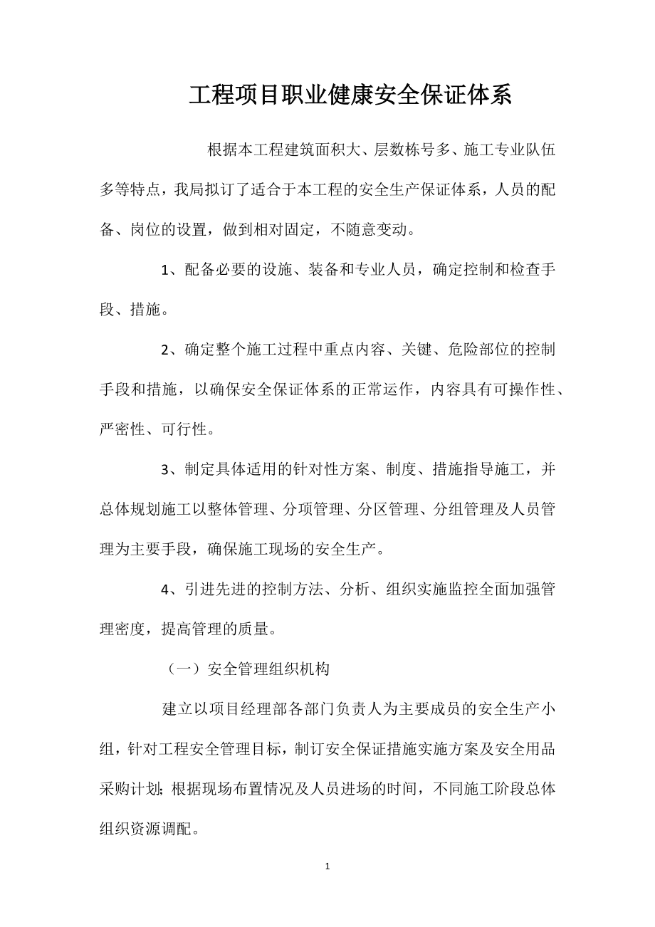 工程项目职业健康安全保证体系_第1页