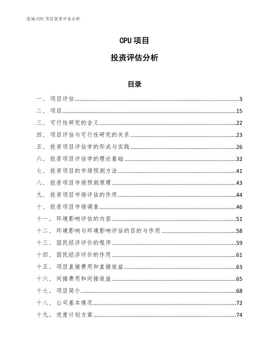 CPU项目投资评估分析_第1页