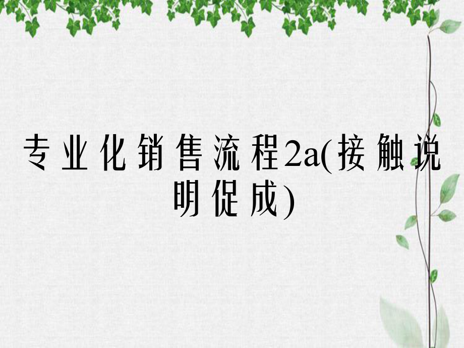 专业化销售流程2a接触说明促成_第1页