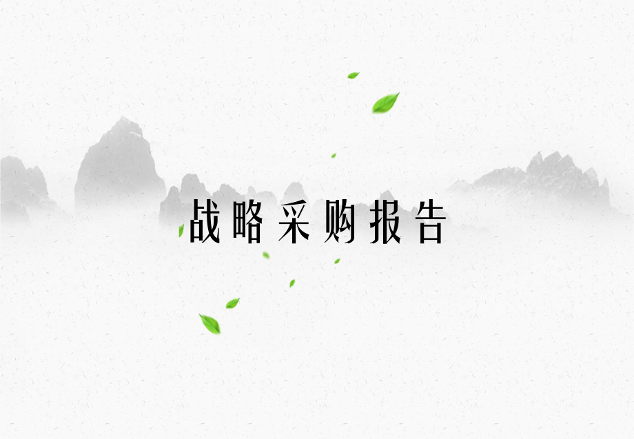 战略采购报告_第1页