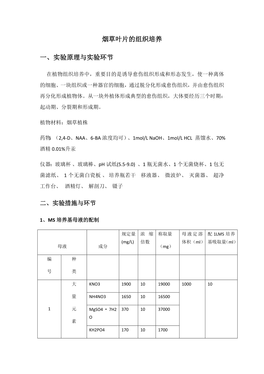 烟草组培苗实验步骤_第1页