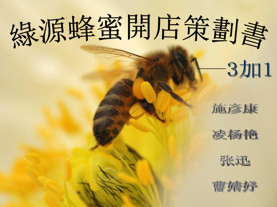 绿源蜂蜜店开店策划书_第1页