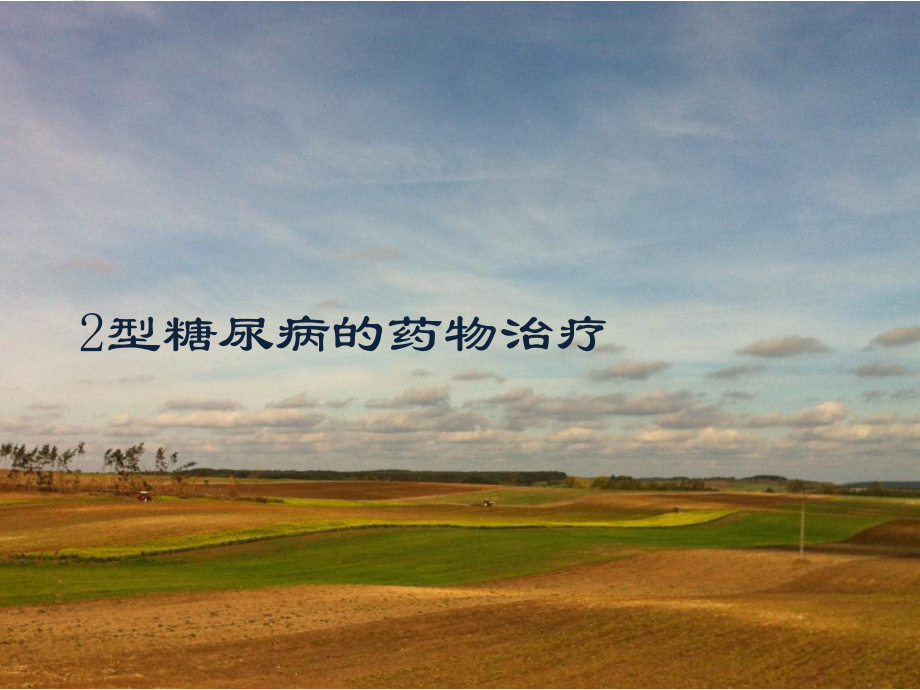 2型糖尿病的药物治疗_第1页