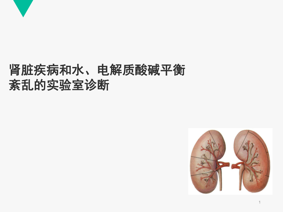 肾脏疾病与水、电解质平衡_第1页
