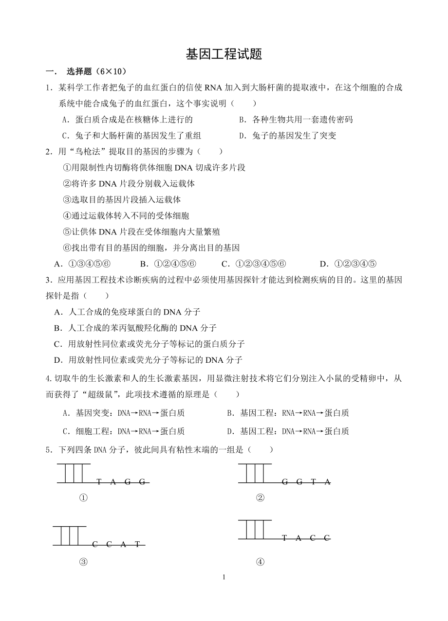 基因工程_第1页