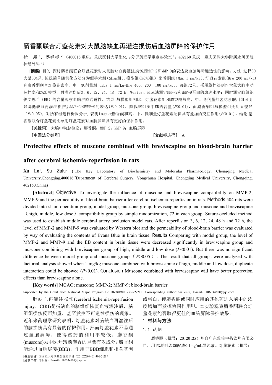麝香酮联合灯盏花素对大鼠脑缺血再灌注损伤后血脑屏障的保_第1页