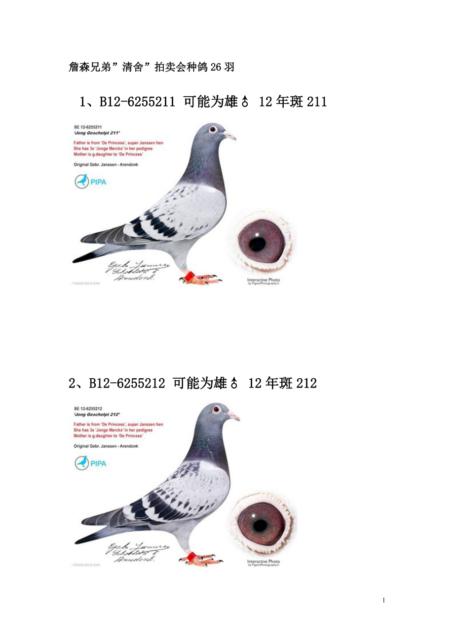 詹森兄弟清舍拍卖会种鸽26羽_第1页