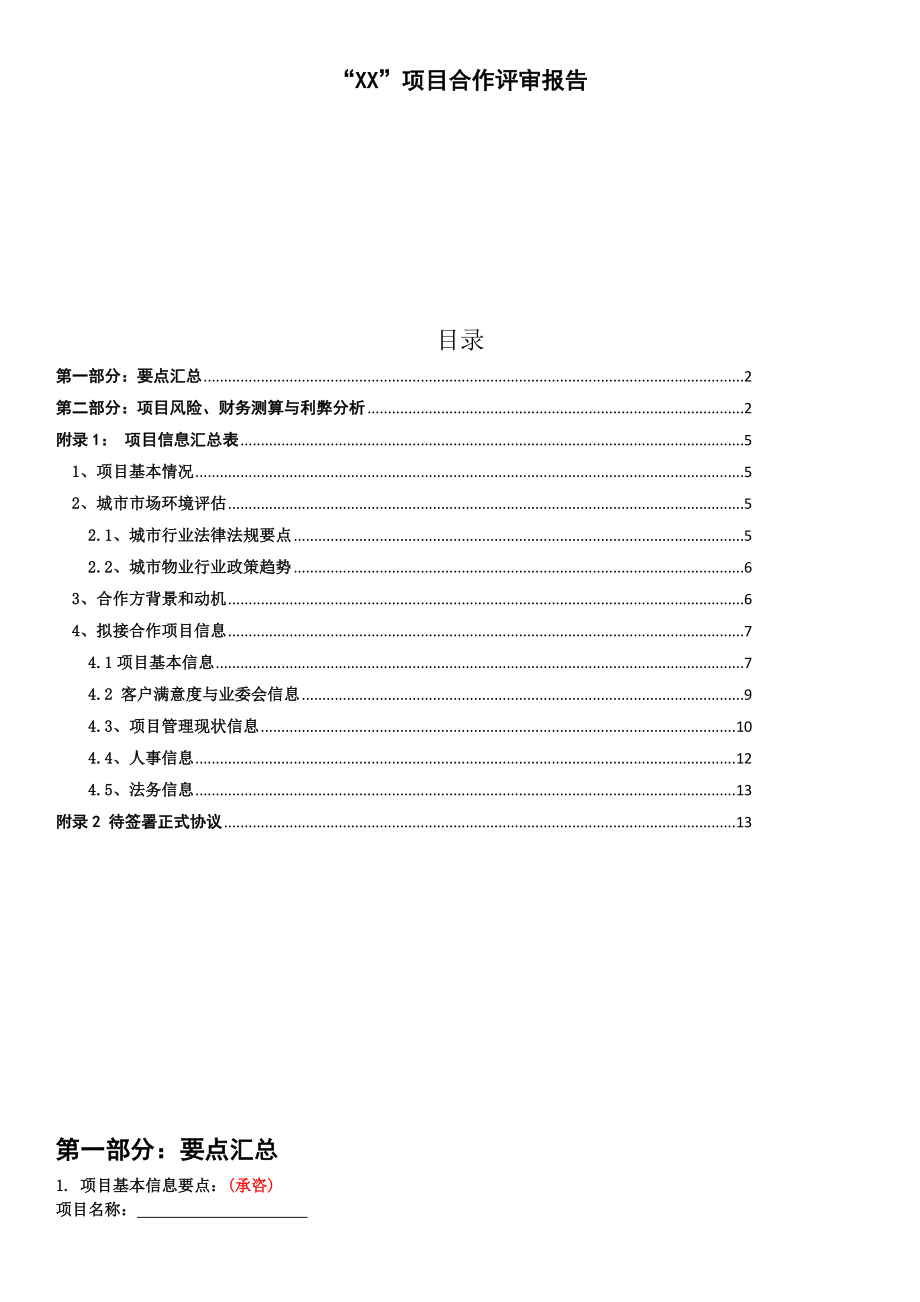 项目合作评审报告_第1页