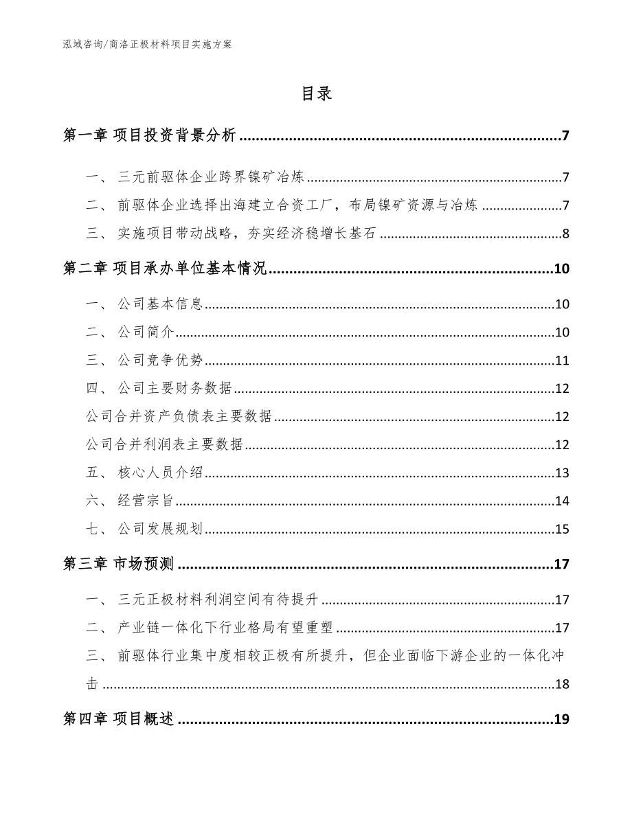 商洛正极材料项目实施方案_第1页