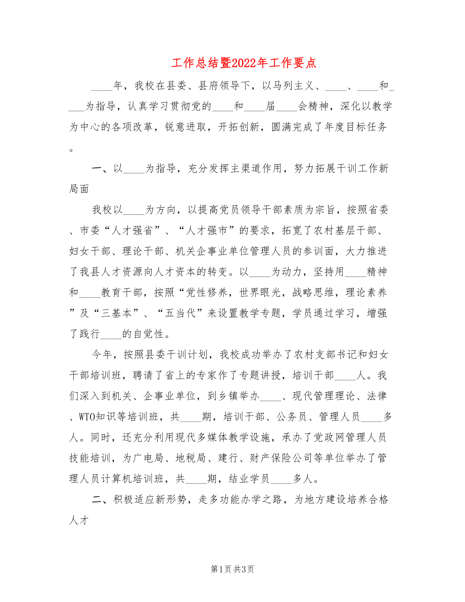 工作总结暨2022年工作要点_第1页