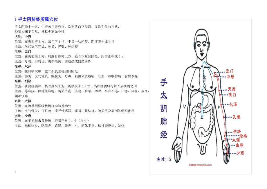 12经络所属穴位定位及功效_第1页