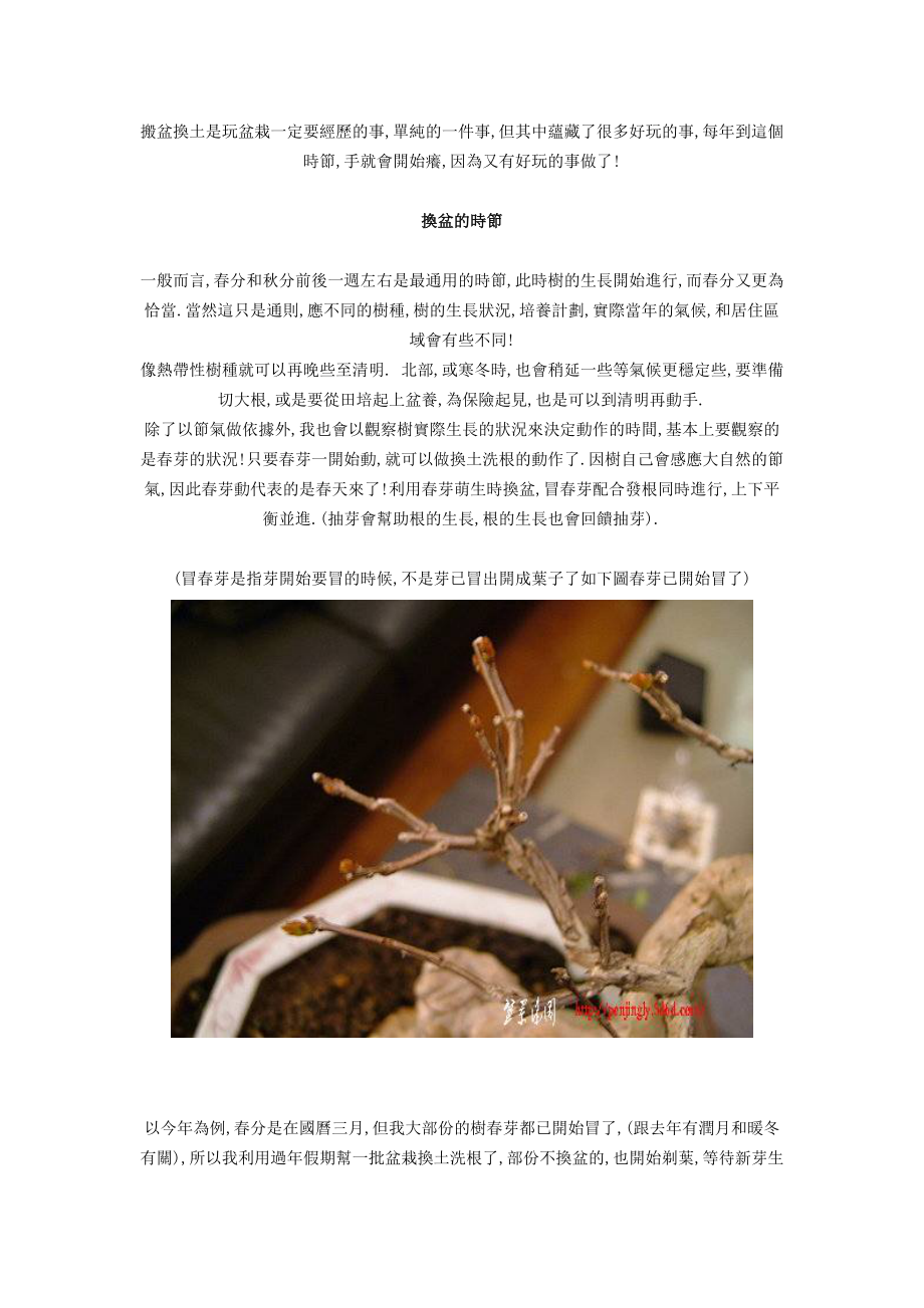 搬盆换土是玩盆栽一定要经历的事_第1页